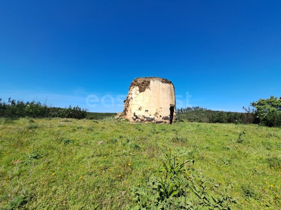 Quinta para Venda em São Martinho das Amoreiras Foto 10