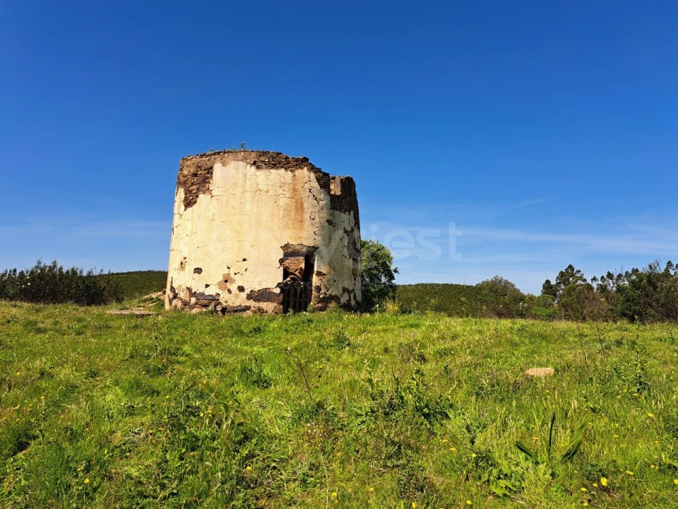 Quinta para Venda em São Martinho das Amoreiras Foto 14