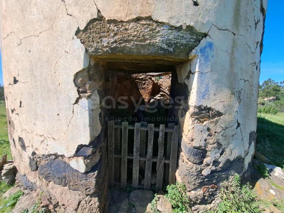 Quinta para Venda em São Martinho das Amoreiras Foto 15