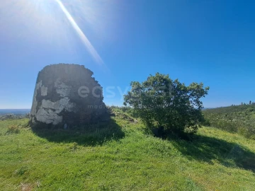 Quinta para Venda em São Martinho das Amoreiras