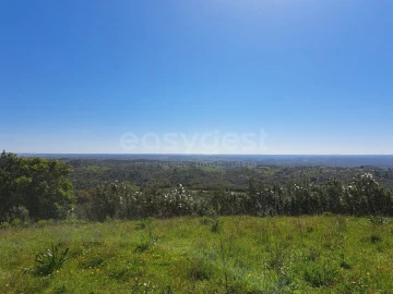 Quinta para Venda em São Martinho das Amoreiras