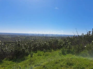 Quinta para Venda em São Martinho das Amoreiras
