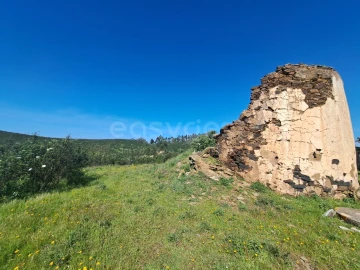 Quinta para Venda em São Martinho das Amoreiras