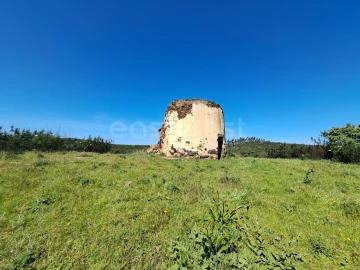 Quinta para Venda em São Martinho das Amoreiras