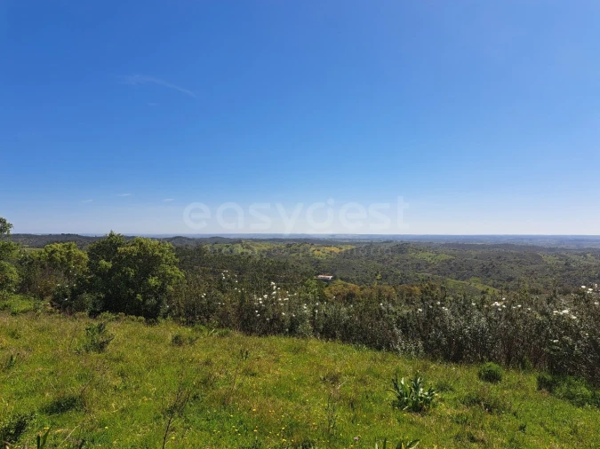 Quinta para Venda em São Martinho das Amoreiras Foto 2