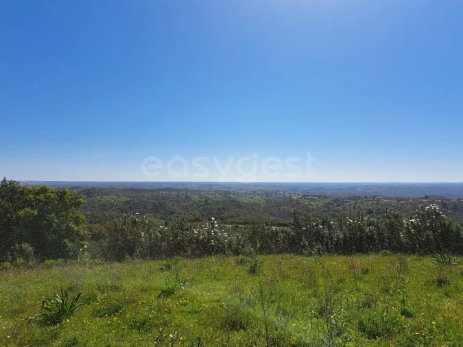 Quinta para Venda em São Martinho das Amoreiras Foto 3