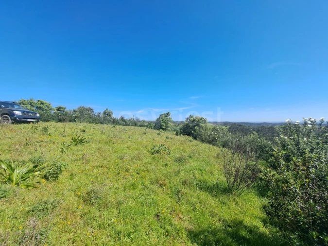 Quinta para Venda em São Martinho das Amoreiras Foto 9