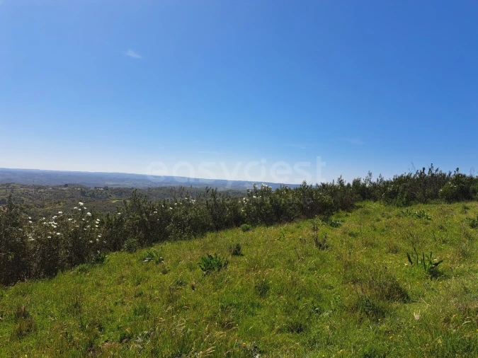 Quinta para Venda em São Martinho das Amoreiras Foto 11