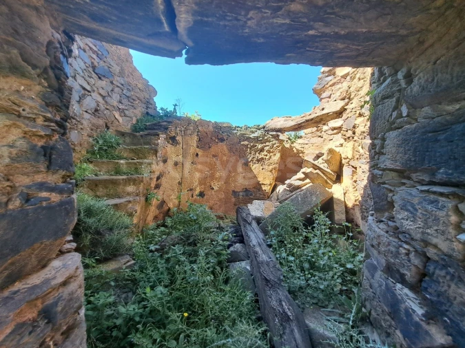 Quinta para Venda em São Martinho das Amoreiras Foto 16