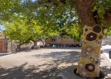 Moradia T3 para Venda em Vilarinho dos Galegos e Ventozelo