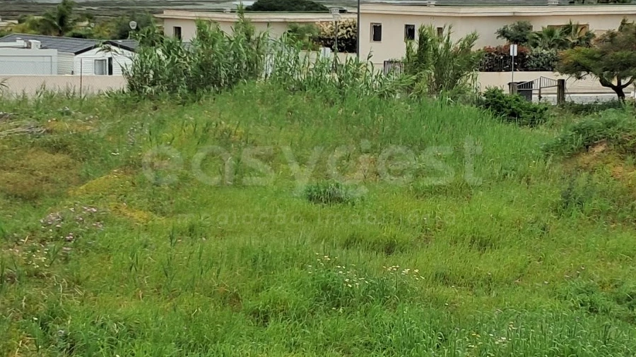 Terreno para Venda em Montenegro