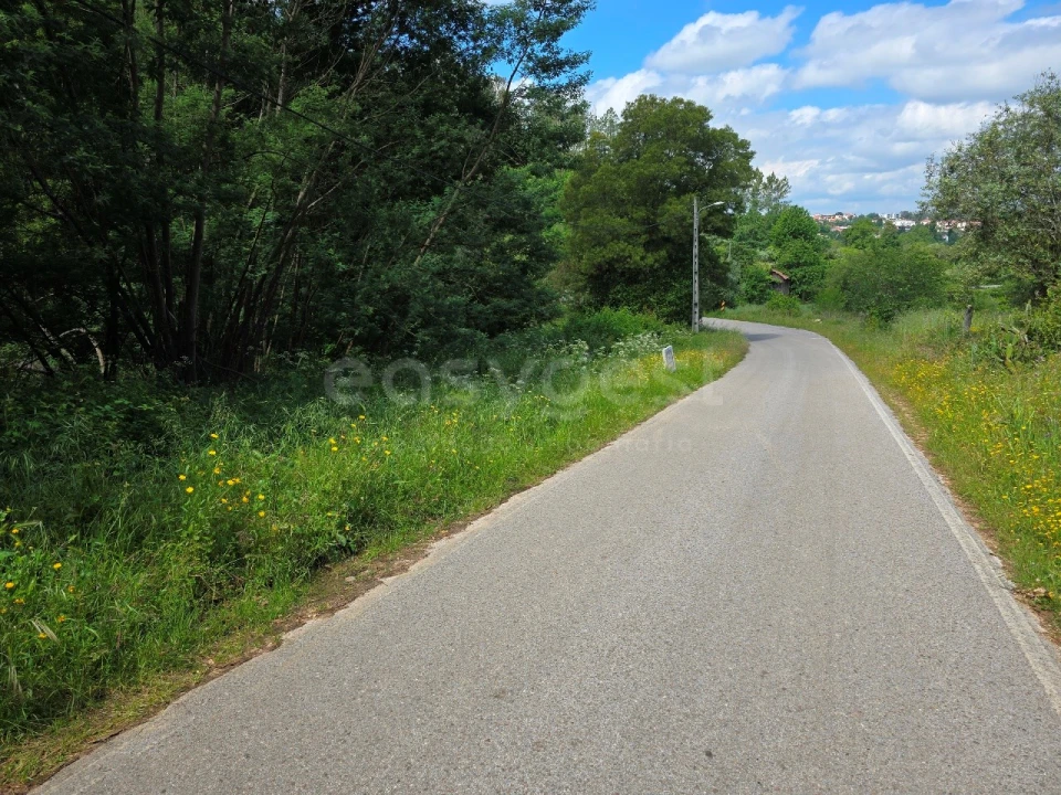 Terreno para Venda em Arganil Foto 3