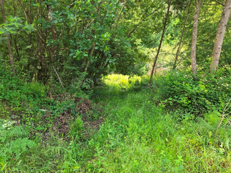 Terreno para Venda em Arganil Foto 5