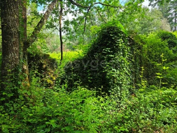 Terreno para Venda em Arganil