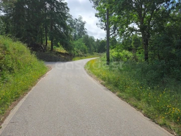 Terreno para Venda em Arganil