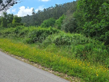 Terreno para Venda em Arganil