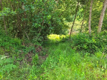 Terreno para Venda em Arganil