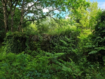 Terreno para Venda em Arganil