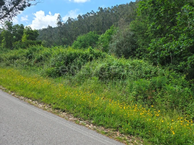 Terreno para Venda em Arganil Foto 4