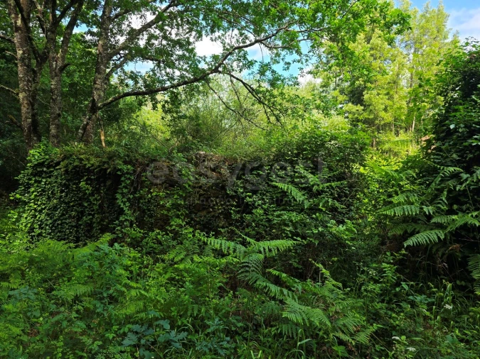Terreno para Venda em Arganil Foto 6