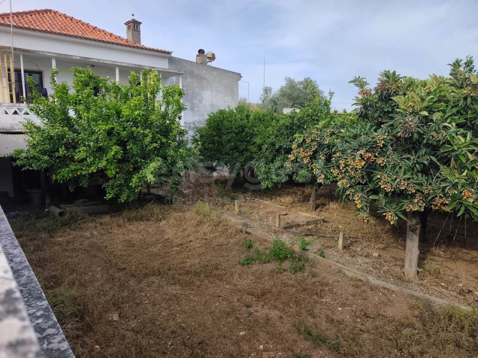 Terreno para Venda em Aljustrel e Rio de Moinhos Foto 3