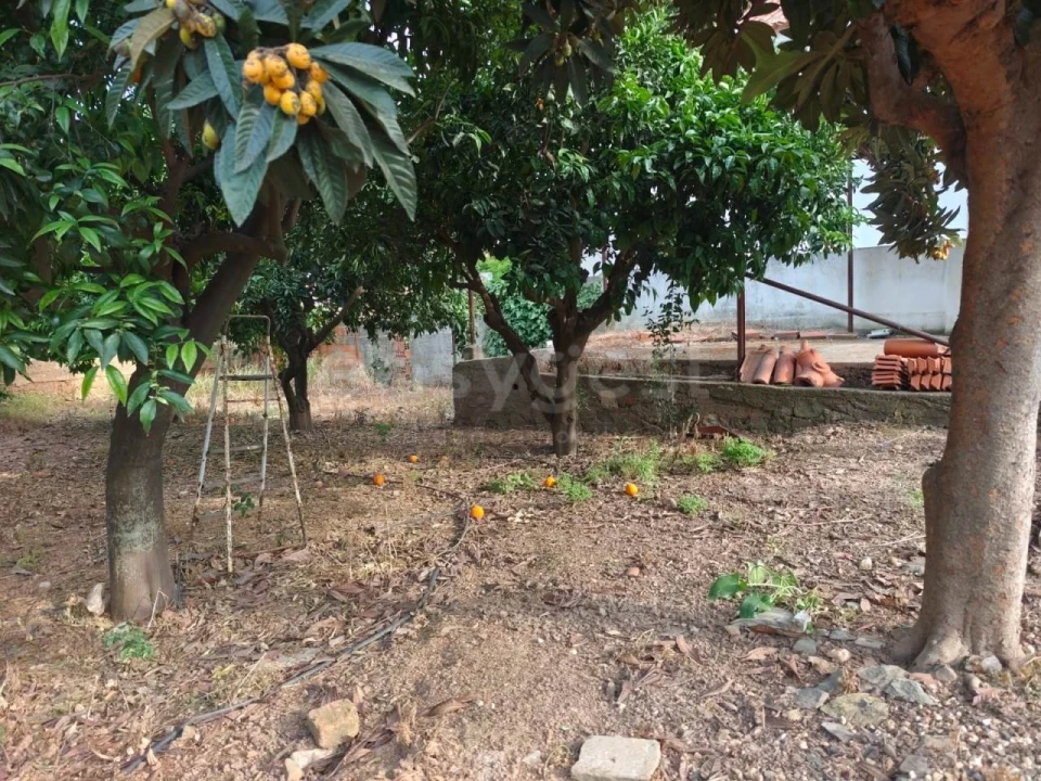 Terreno para Venda em Aljustrel e Rio de Moinhos Foto 4