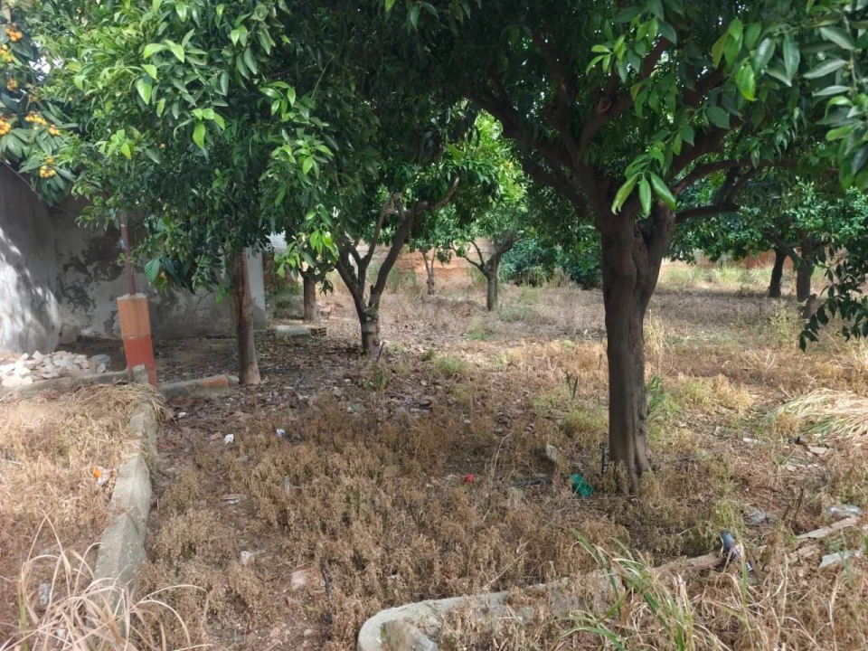 Terreno para Venda em Aljustrel e Rio de Moinhos Foto 6