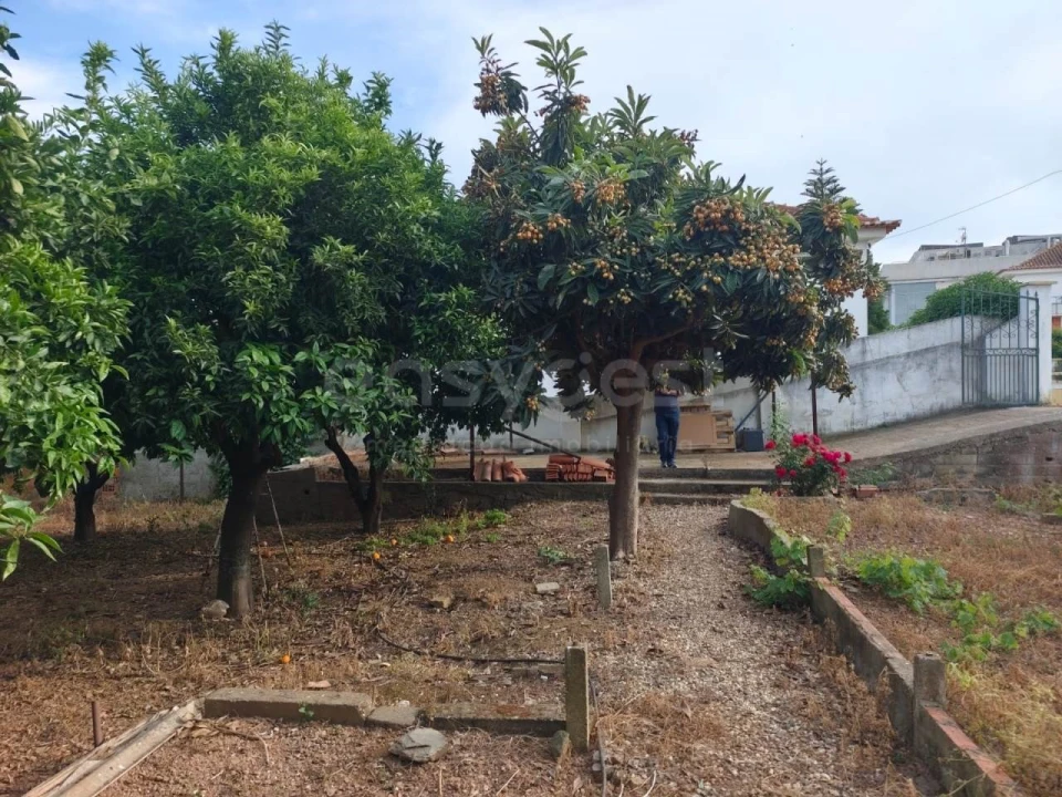Terreno para Venda em Aljustrel e Rio de Moinhos Foto 10
