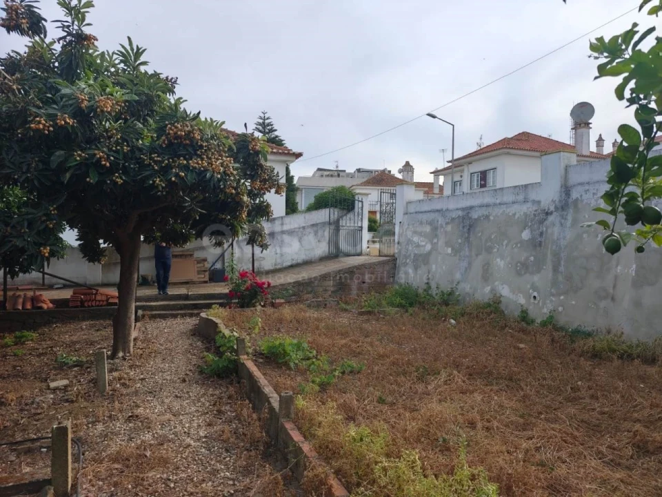 Terreno para Venda em Aljustrel e Rio de Moinhos Foto 11