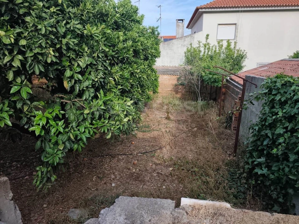 Terreno para Venda em Aljustrel e Rio de Moinhos Foto 13