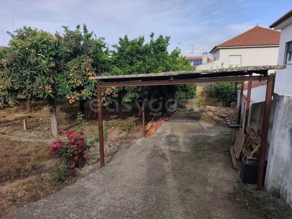 Terreno para Venda em Aljustrel e Rio de Moinhos Foto 15