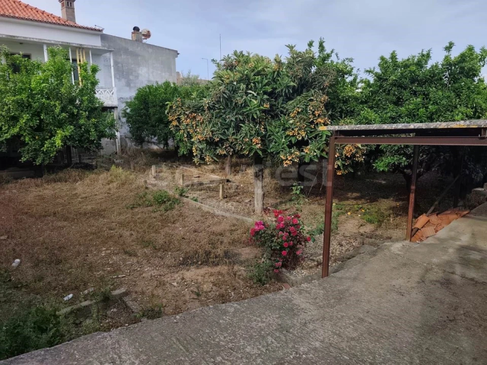 Terreno para Venda em Aljustrel e Rio de Moinhos Foto 16