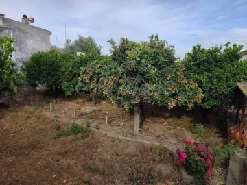 Terreno para Venda em Aljustrel e Rio de Moinhos