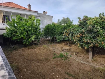 Terreno para Venda em Aljustrel e Rio de Moinhos