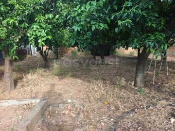 Terreno para Venda em Aljustrel e Rio de Moinhos
