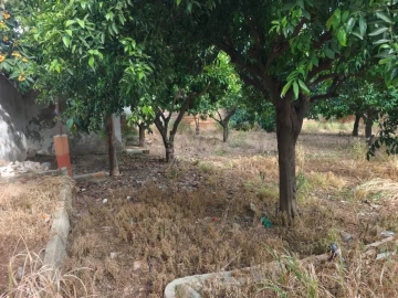 Terreno para Venda em Aljustrel e Rio de Moinhos