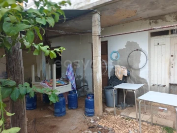 Terreno para Venda em Aljustrel e Rio de Moinhos
