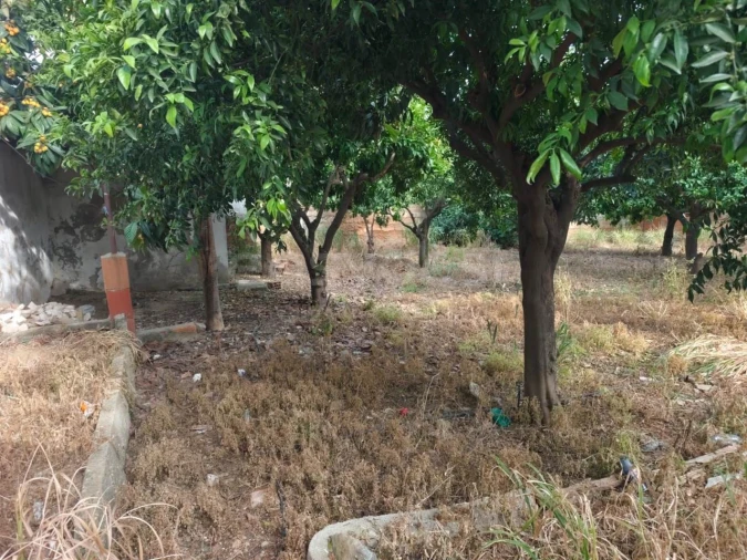 Terreno para Venda em Aljustrel e Rio de Moinhos Foto 6