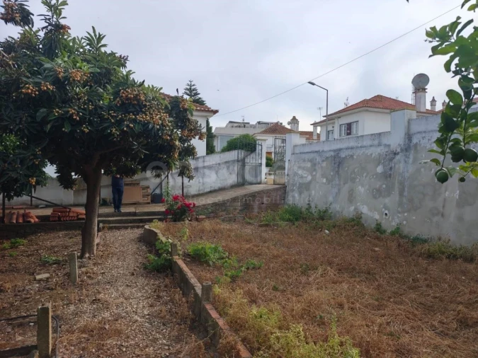 Terreno para Venda em Aljustrel e Rio de Moinhos Foto 11