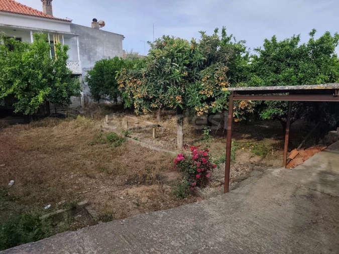 Terreno para Venda em Aljustrel e Rio de Moinhos Foto 16