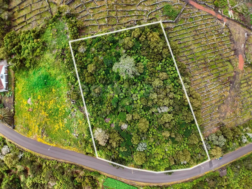 Terreno para Venda em Bandeiras Foto 4