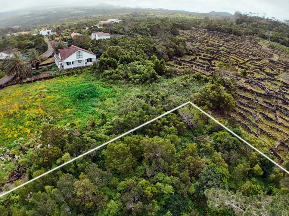 Terreno para Venda em Bandeiras Foto 6