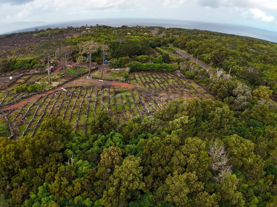 Terreno para Venda em Bandeiras Foto 7