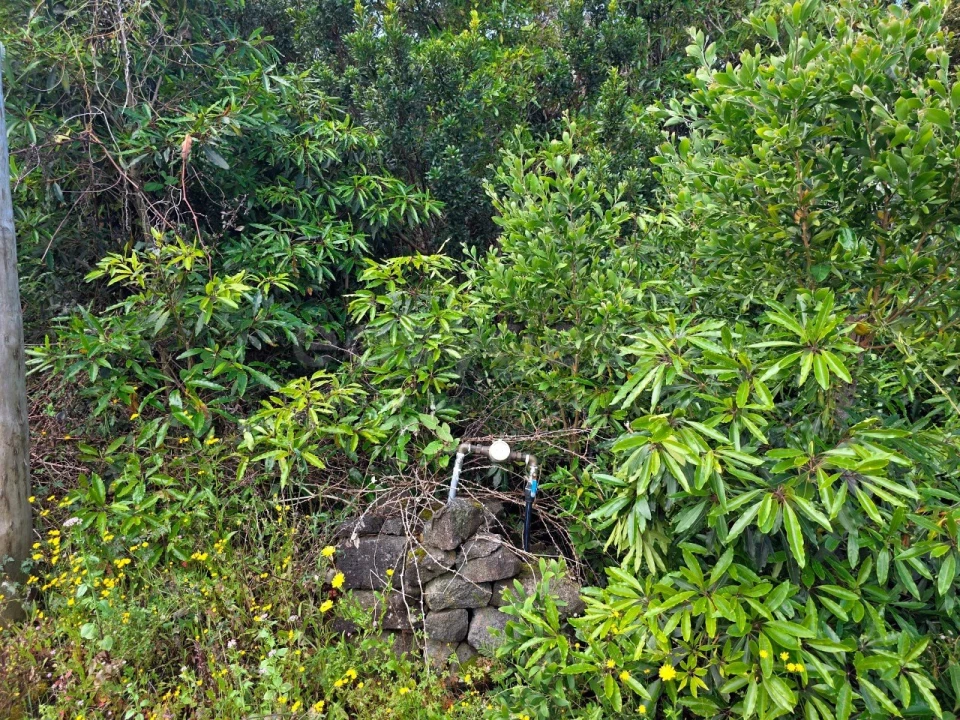 Terreno para Venda em Bandeiras Foto 10