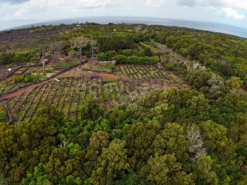 Terreno para Venda em Bandeiras