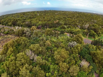 Terreno para Venda em Bandeiras