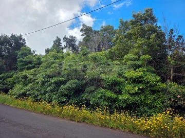 Terreno para Venda em Bandeiras