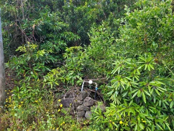 Terreno para Venda em Bandeiras