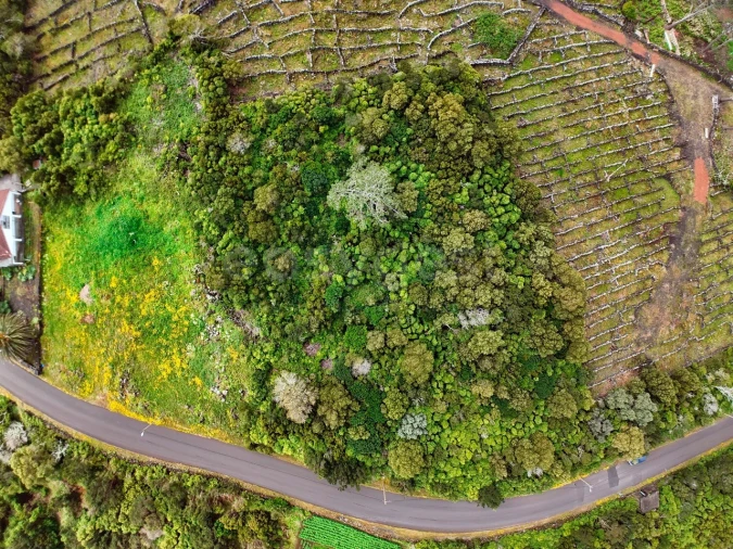 Terreno para Venda em Bandeiras Foto 2