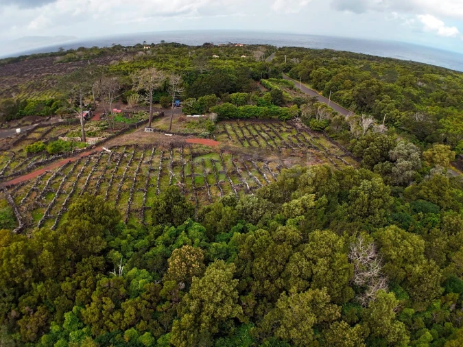 Terreno para Venda em Bandeiras Foto 7